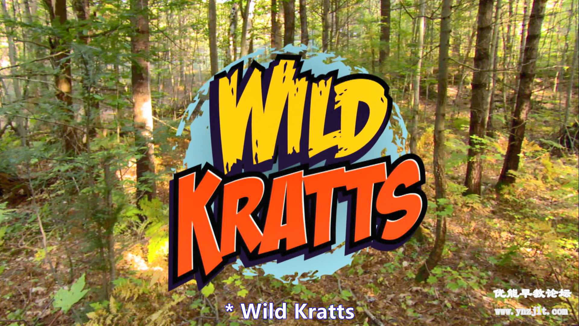 C0410-Wild Kratts S1-S5动物兄弟-《动物兄弟 Wild.Kratts 》1-5季英文版动画片全集下载